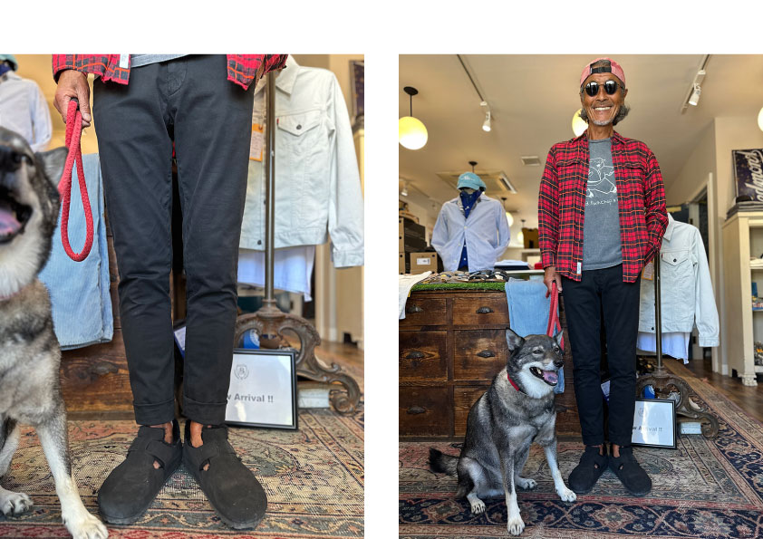 BERWICH Cotton Chino Trousers(BLACK) - Boy's Market